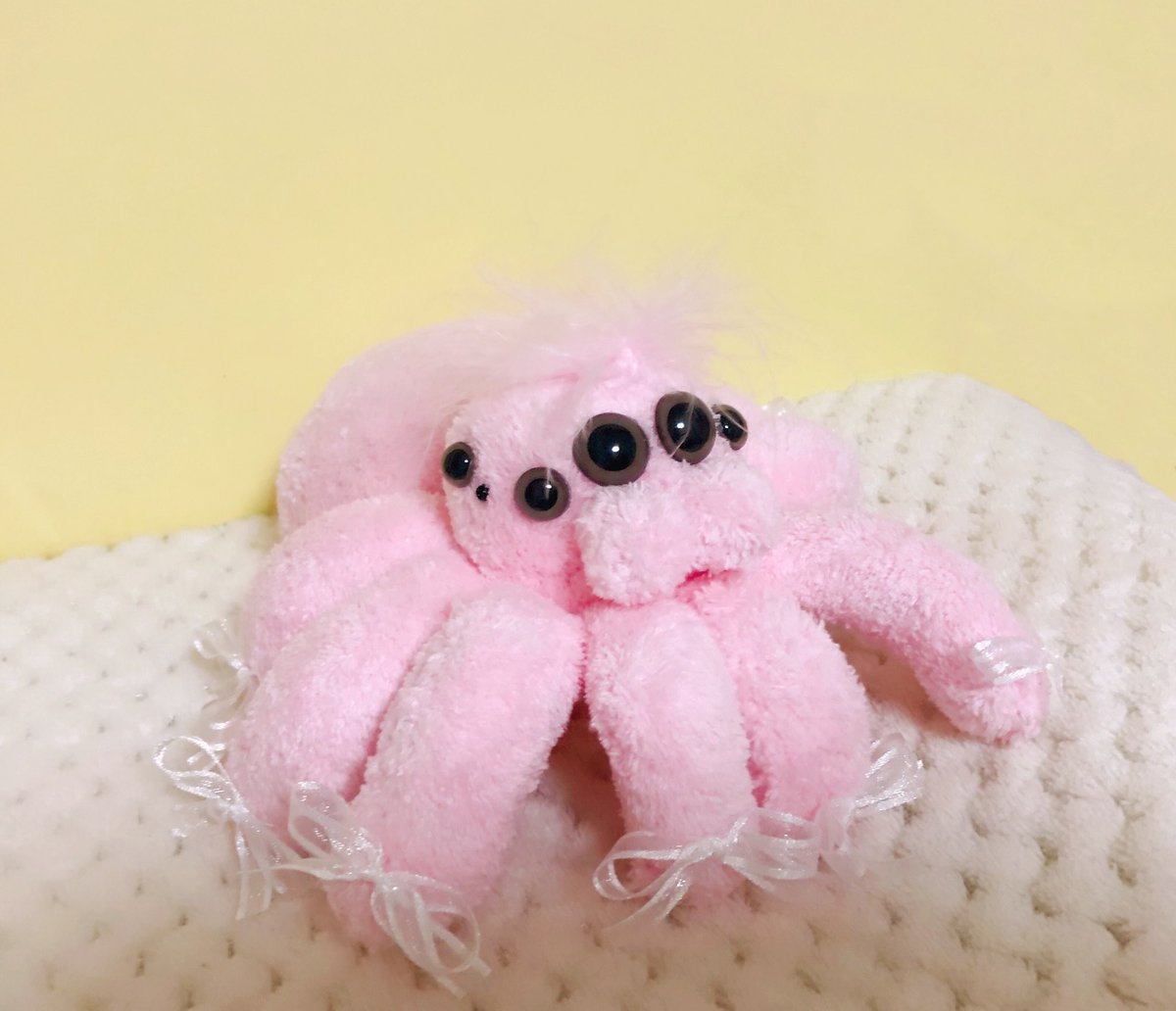 あたまにファーが生えたおめかしハエトリグモちゃん🥺🎀 とても