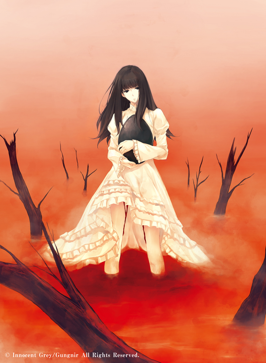 殻ノ少女画展・ジークレ版画納品状況》 IG004『Hades』、IG005『胡蝶の