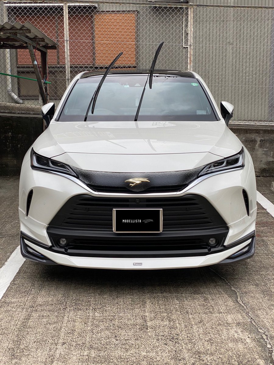 ハリアーはやっぱりチュウヒのエンブレムが似合うと思う(^^) 雑ですが3