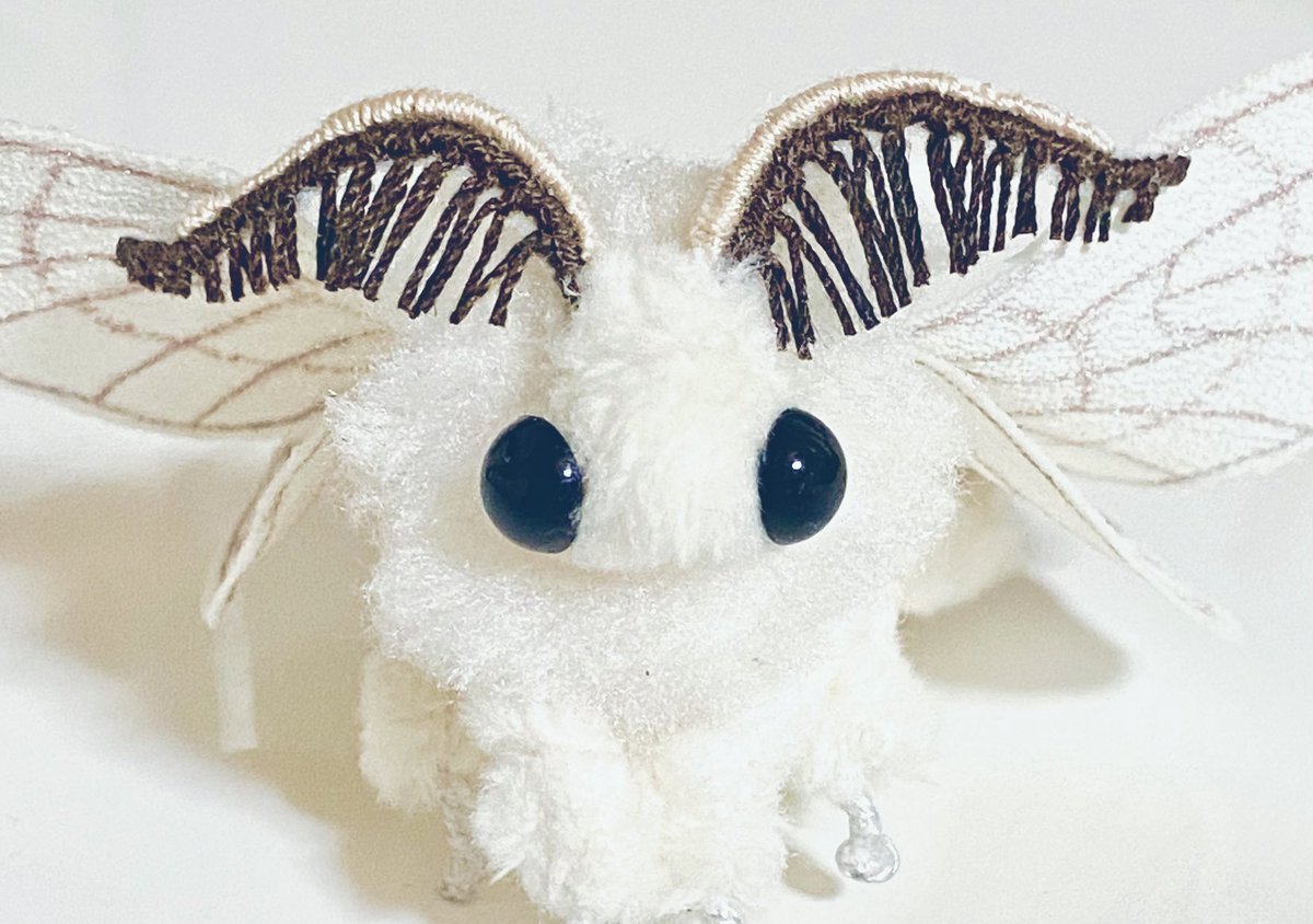 カイコガの小さなぬいぐるみ」 次回出品分から触覚の仕様などが一部