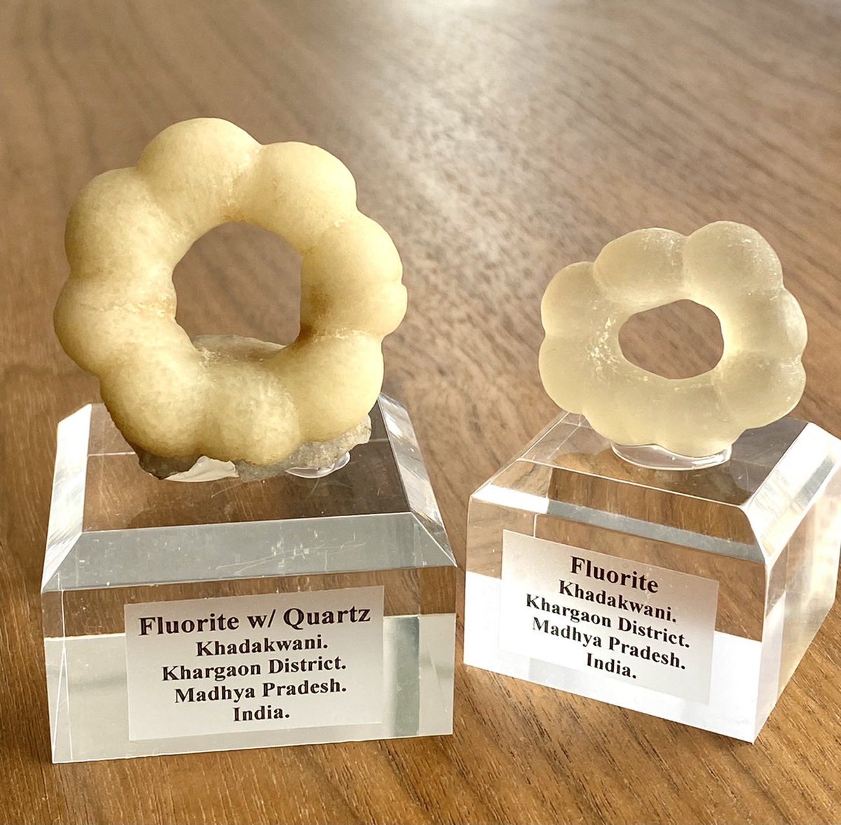 今年のデンバーショーで仕入れたドーナツ［ポンデリングみたい］フロー