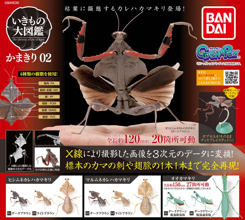 商品情報】 ／ いきもの大図鑑 かまきり02 （税込500円） ＼ 枯葉に