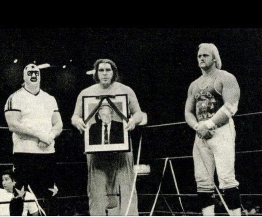 アンドレザジャイアント #ハルクホーガン #マスクドスーパースター