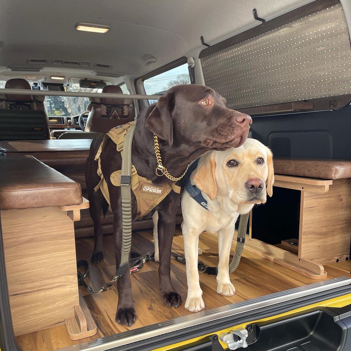 イズ&ワズ@ラブラドール (@mizukin24530713) / Posts / X