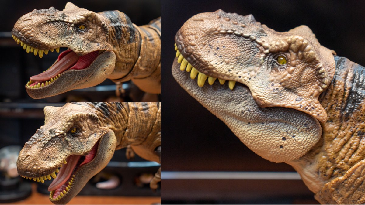 ﾏﾃﾙ ﾊﾓﾝﾄﾞｺﾚｸｼｮﾝ ﾃｨﾗﾉｻｳﾙｽのレビューです。33年生きてきて、今までで一