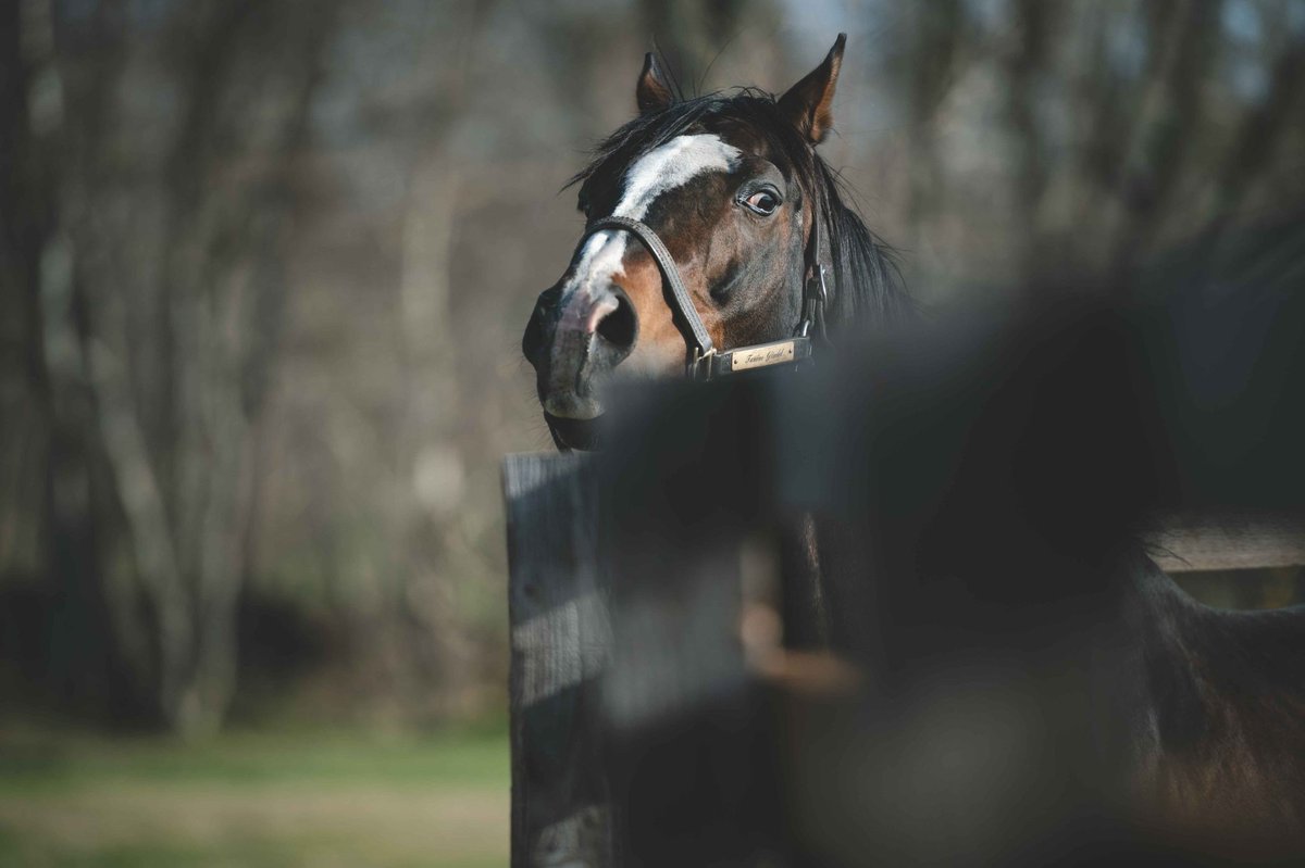 ギムレットの牧柵から作ったアクセサリーのペンダントE入荷しました