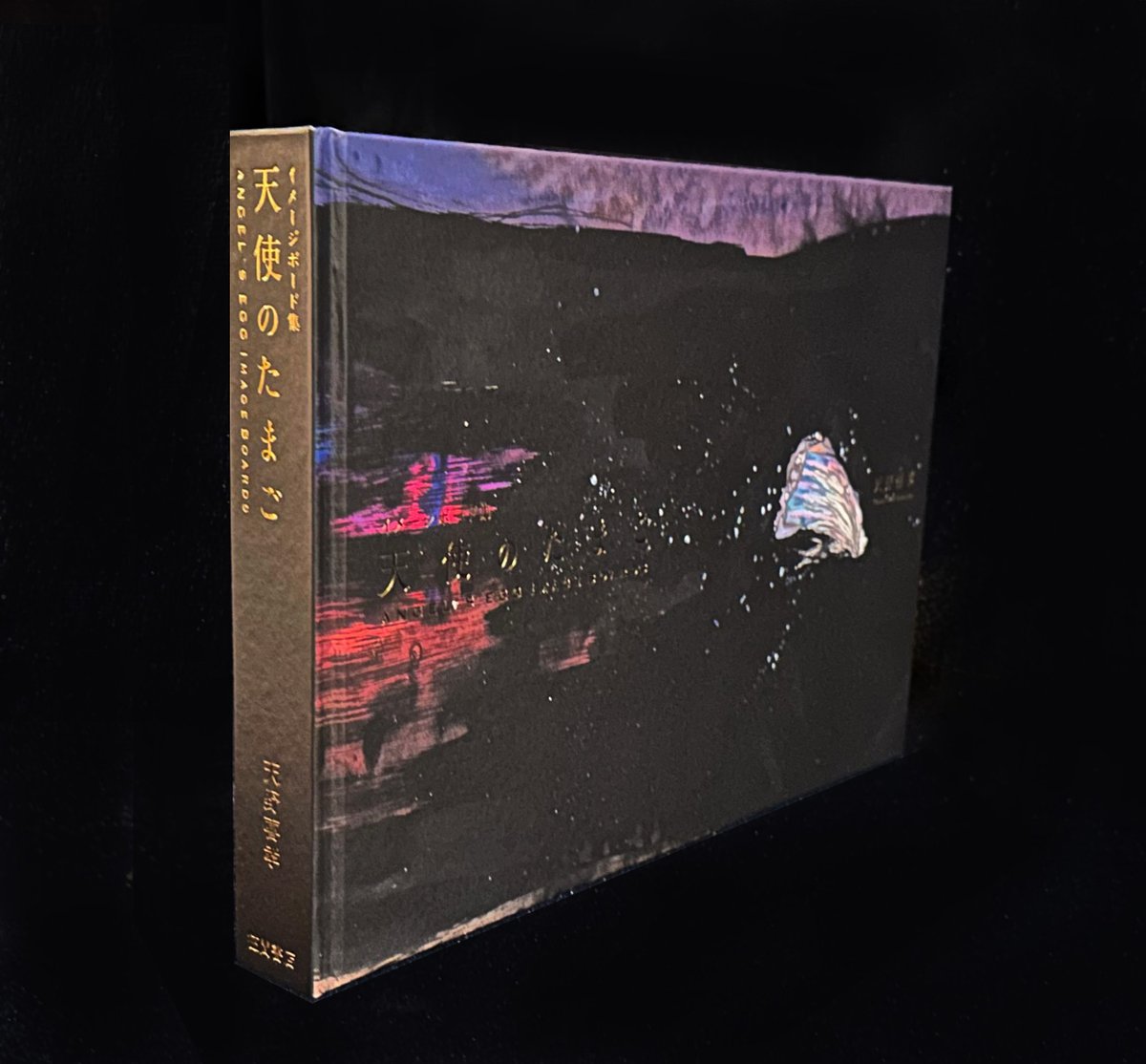 ◤ 天野喜孝サイン入り 『天使のたまご イメージボード集』 100部限定