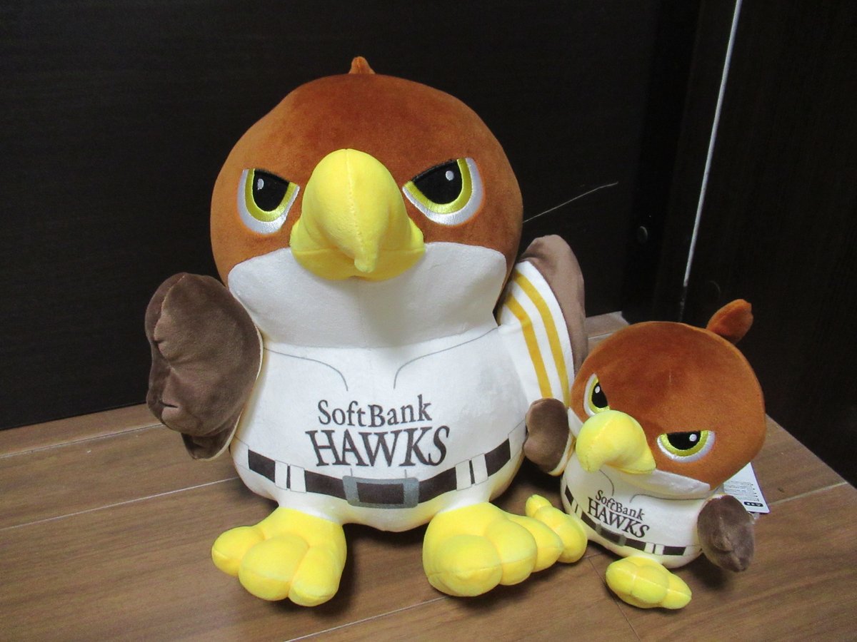 どうしても欲しくって、とうとうお迎えした鷹のぬいぐるみです