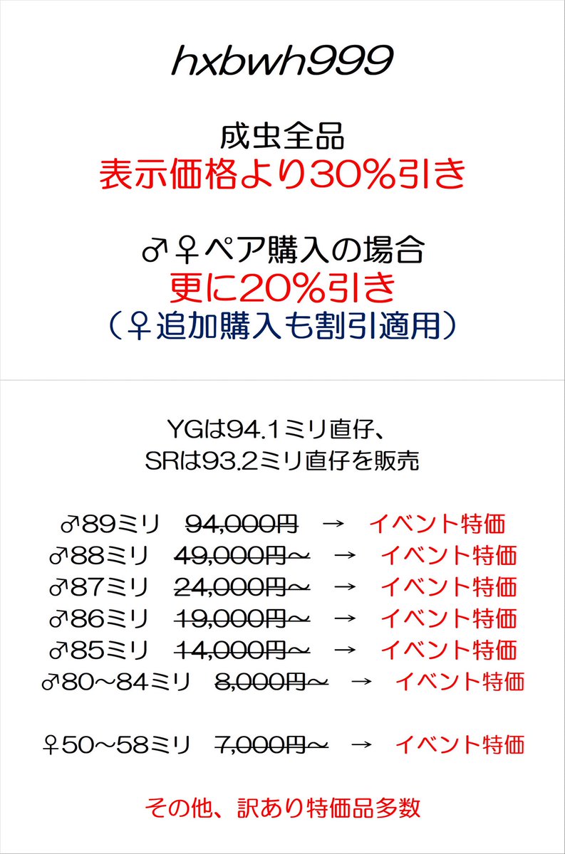 BEETLE MANIACS 2025 11/16(土) KLB&NLB&NF合同ブース に出品させて