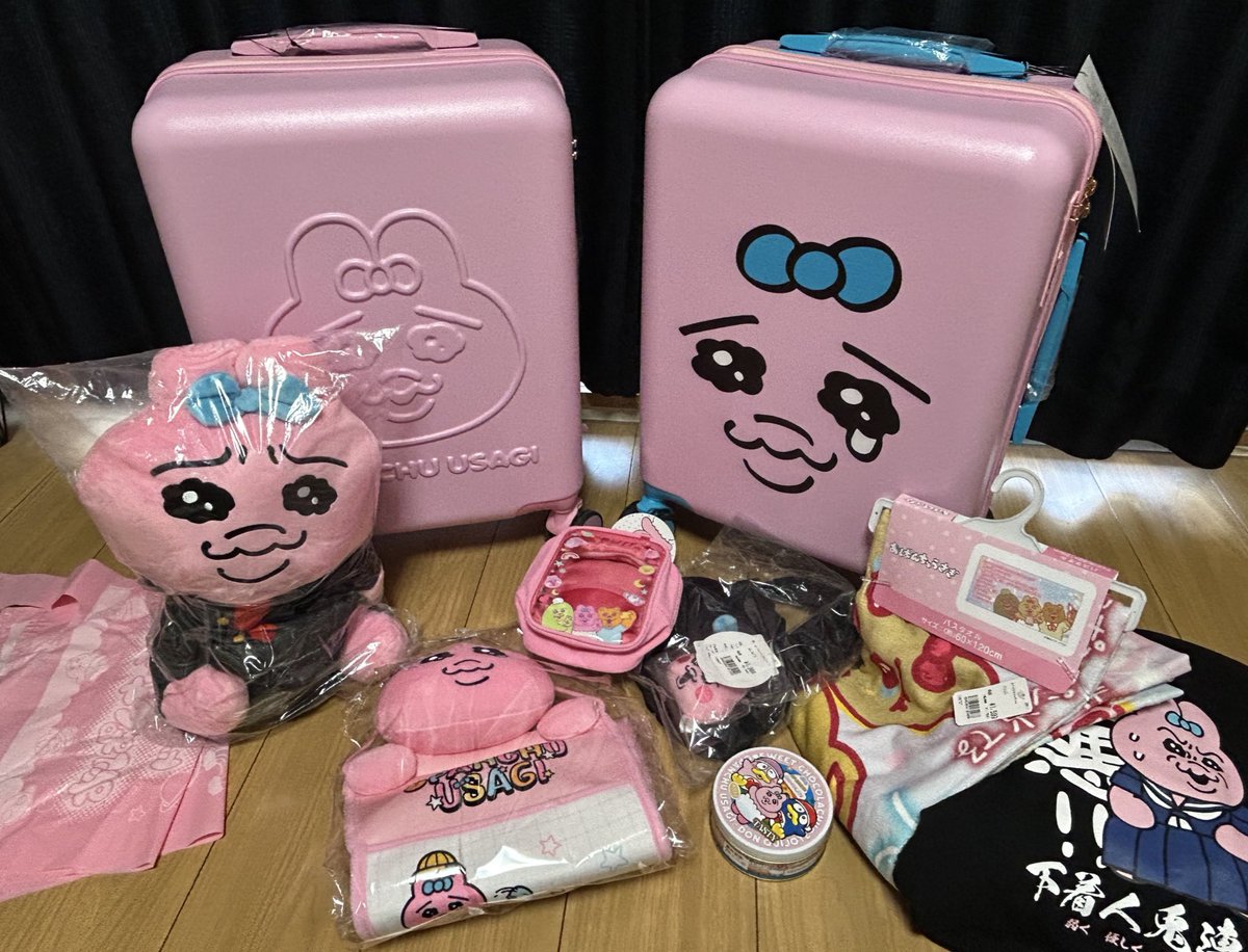 キャリーケース買ったから 今回は控え目購入🤭❤️ 早く使いたい