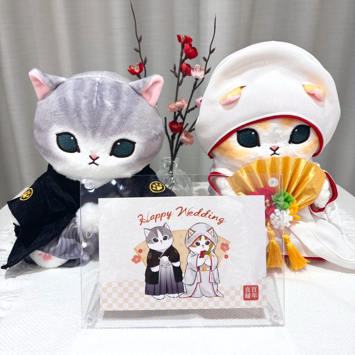 mofusandもふもふストア札幌PARCO ⭐️新商品のご紹介⭐️ ○にゃんこ