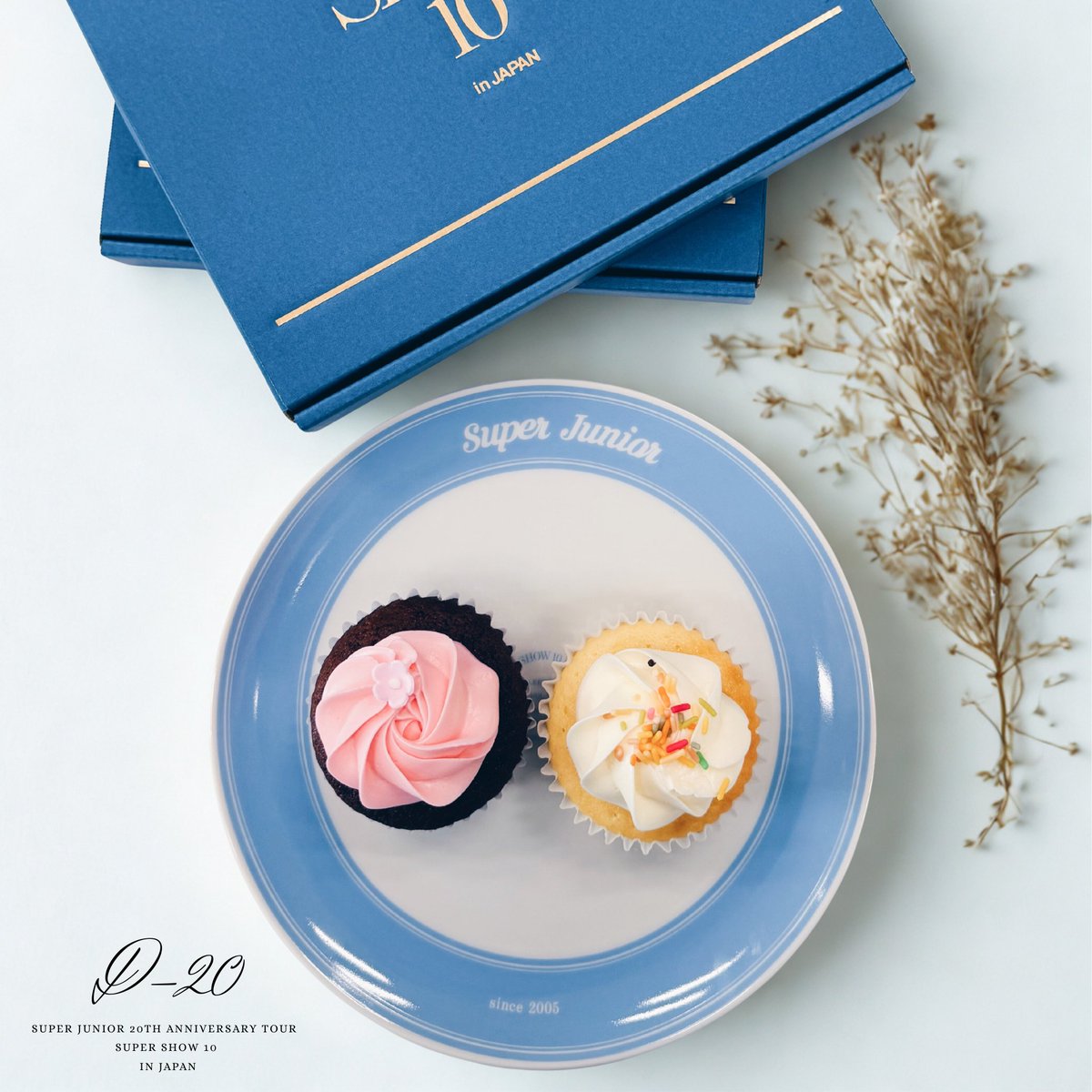 SUPERJUNIOR SUPERSHOW10 ジップアップパーカー L 新品 未開封】SUPER JUNIOR SUPER SHOW 10 ジップアップパーカー L