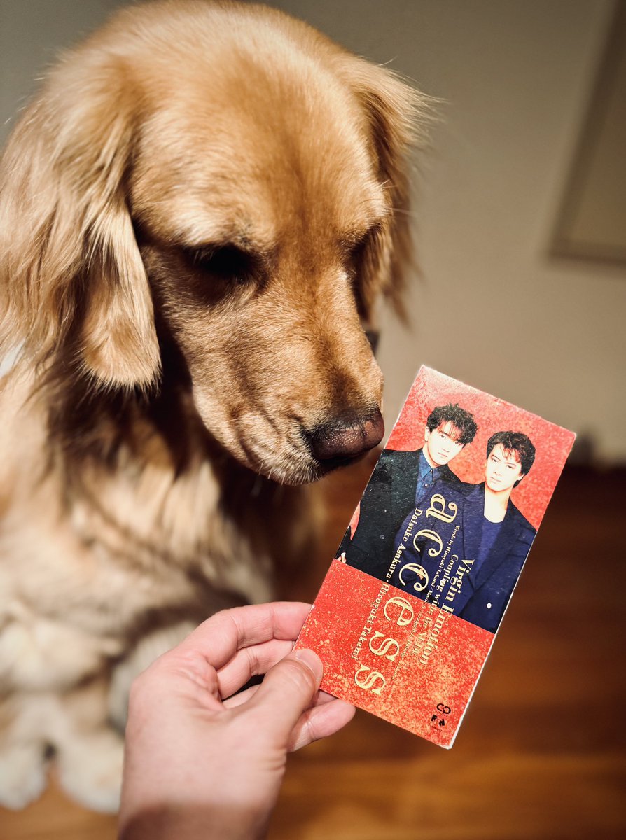 いつもありがとう😭みんな大好き❤ #access ♾✨