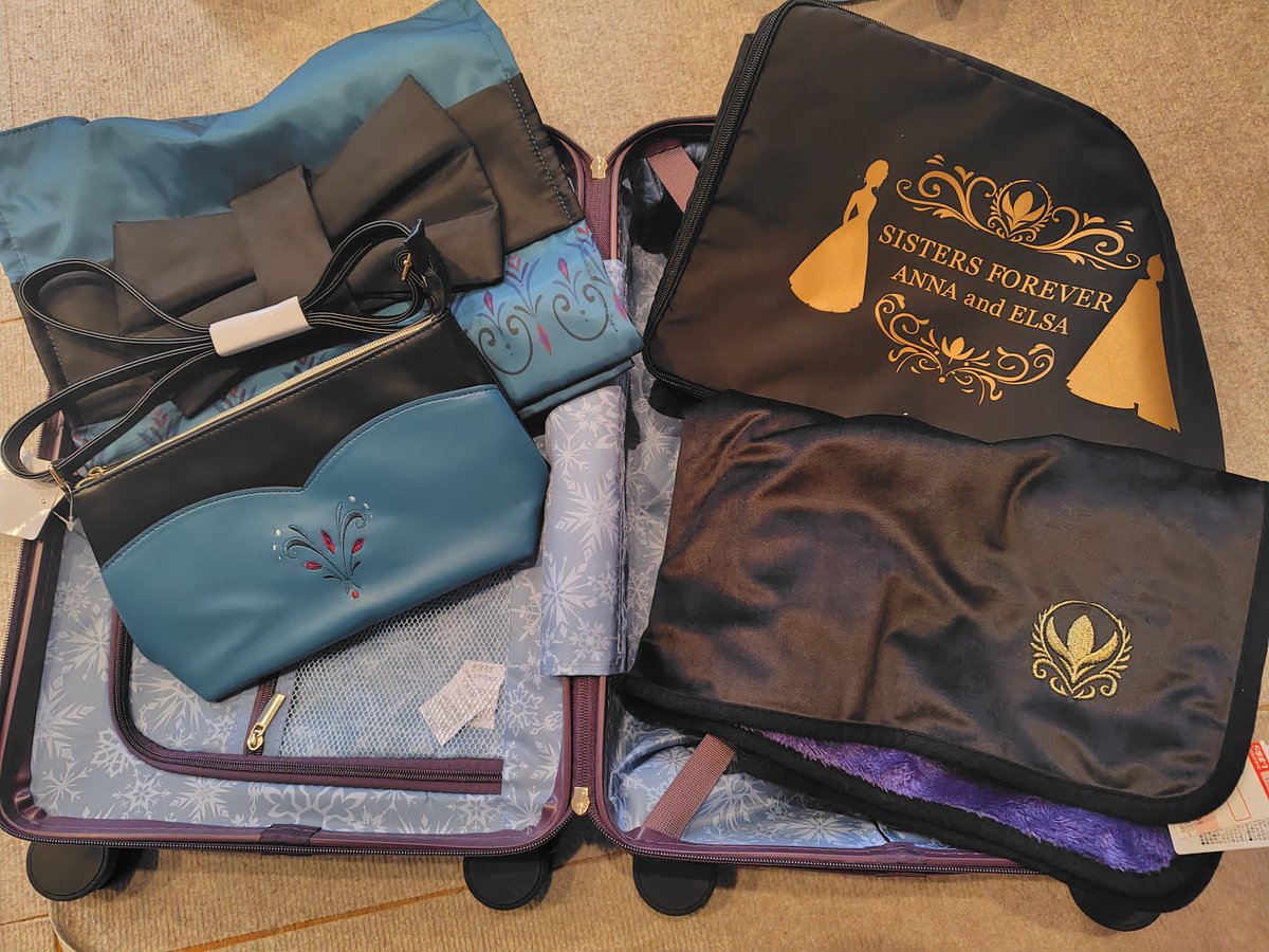 本命のエルサキャリーバッグのハッピーバッグ❄️❄️❄️❄️ マジで