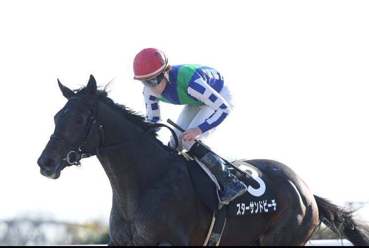 あっくん (@amkage) / Posts / X