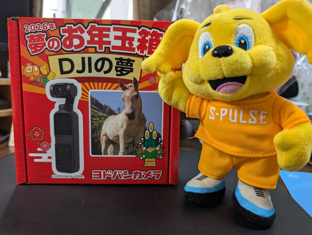 ヨドバシの福袋が届いた！ めっちゃ小さい！ そもそもDJIってなんだ