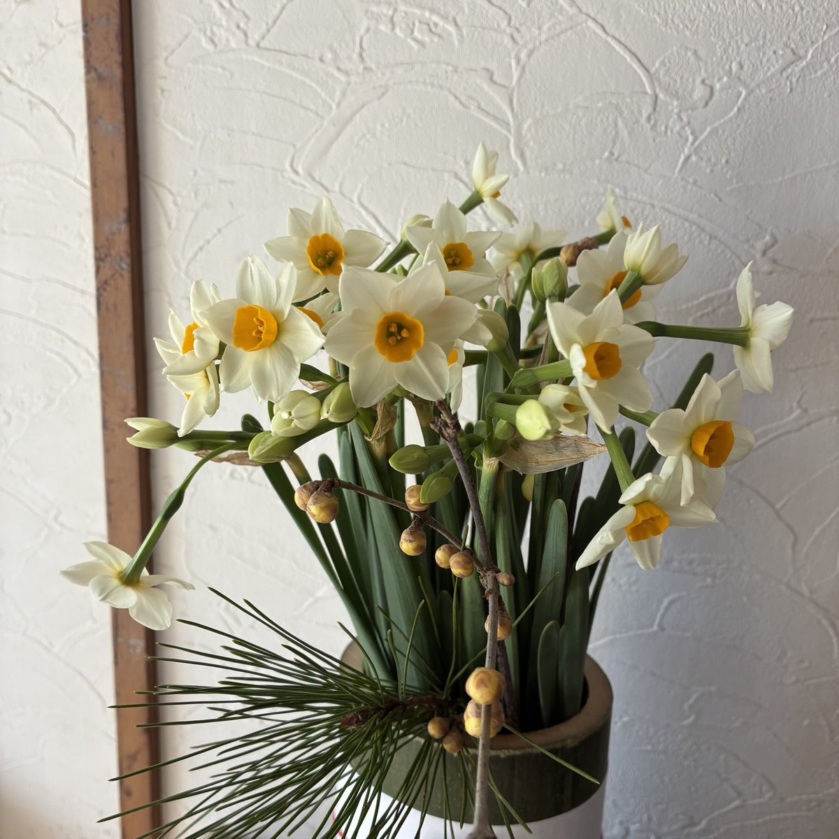 かおりんご。 (@kaoringo18) / Posts / X