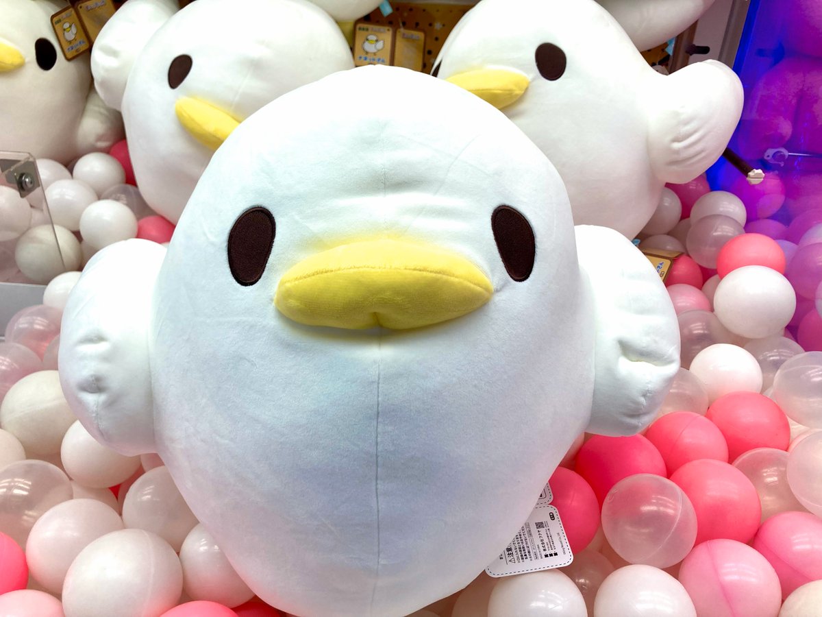 🌟キャンペーン情報🌟】 🐧水樹奈々 × ＃GiGO キャンペーン📷 本日より