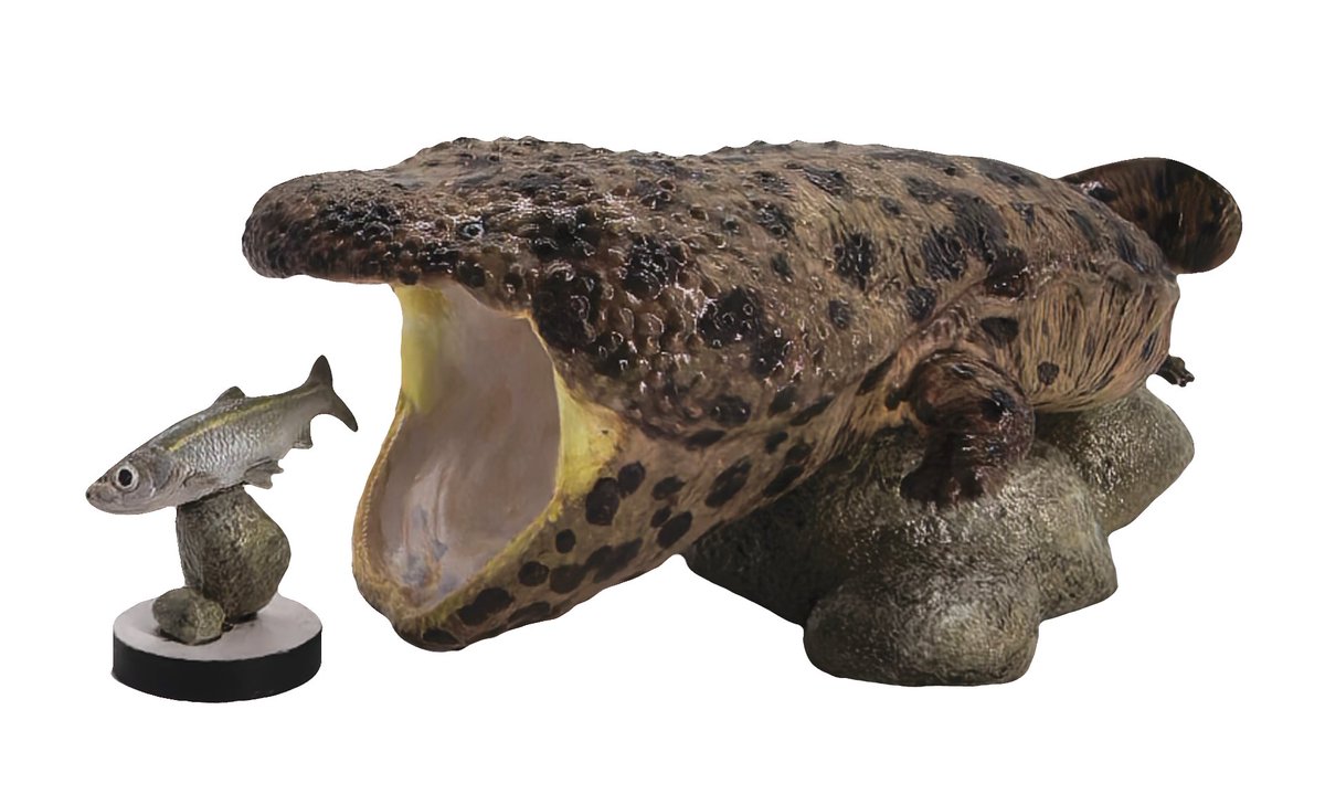 冬ワンフェス 特別販売品 発表 ワンフェス限定88体 オオサンショウウオ