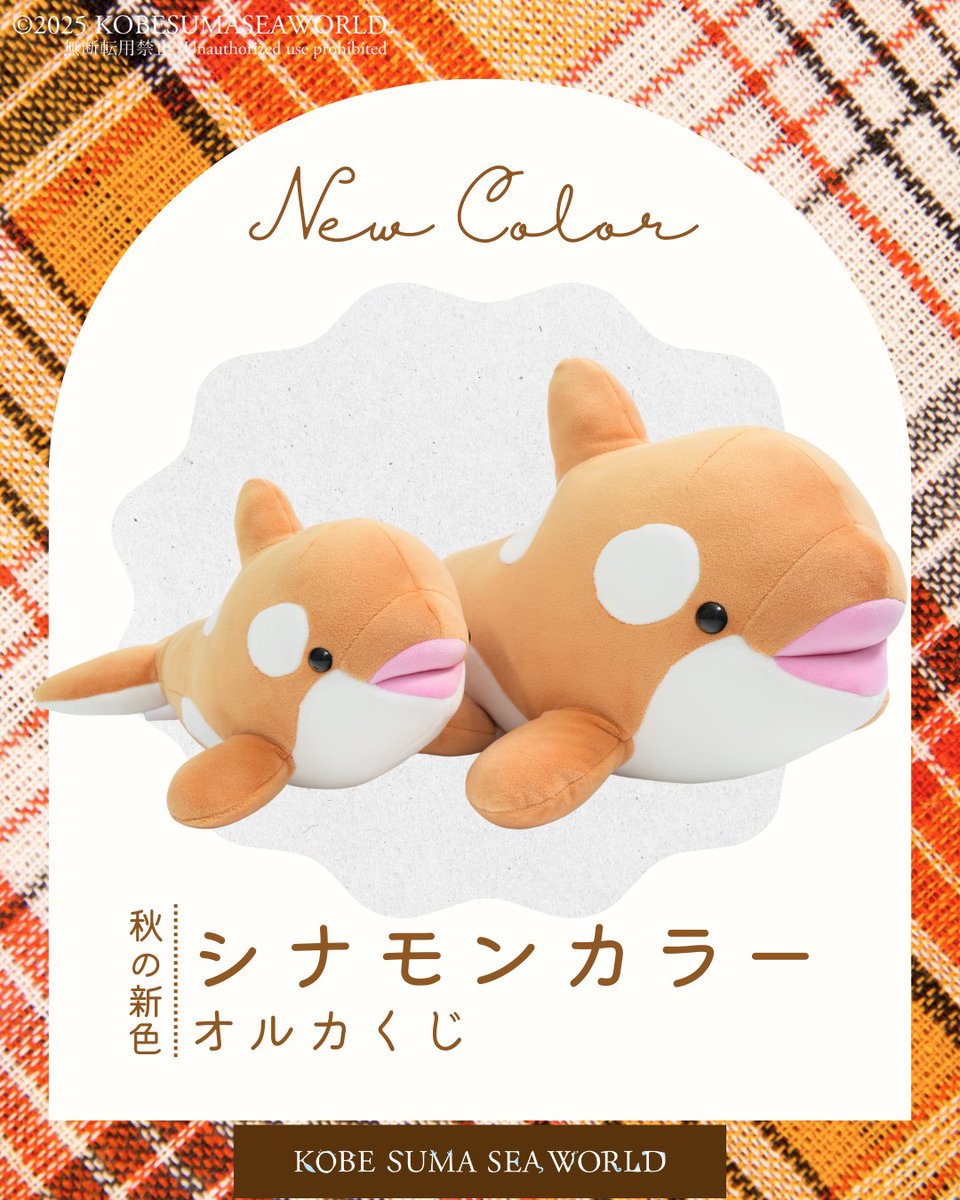 秋の新色登場！ ＼ 本日2025年9月13日(土)から #オルカくじ の3等・4等