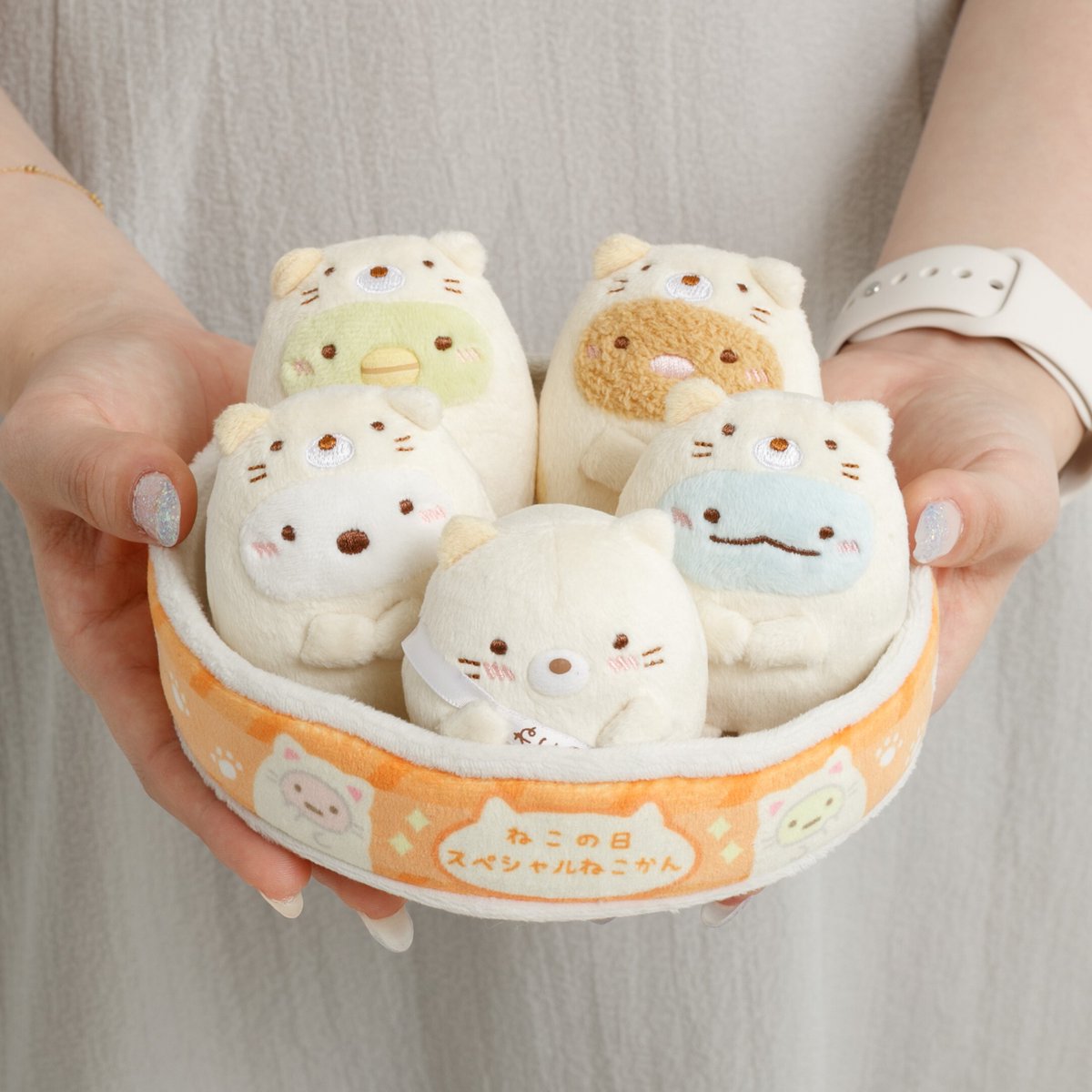 🚨本日受注〆切🚨 すみっコたちがねこになりきった 「ねこの日