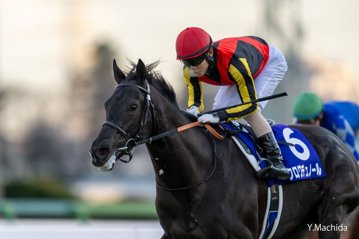 JRAウインズ (@jrawinsofficial) / Posts / X