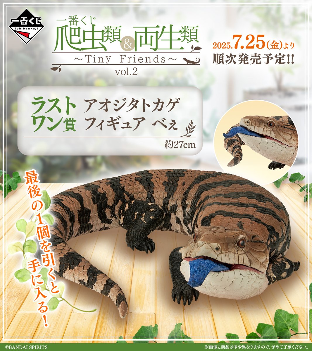 📣全ラインナップ公開‼ 一番くじ 爬虫類＆両生類～Tiny Friends～vol.2