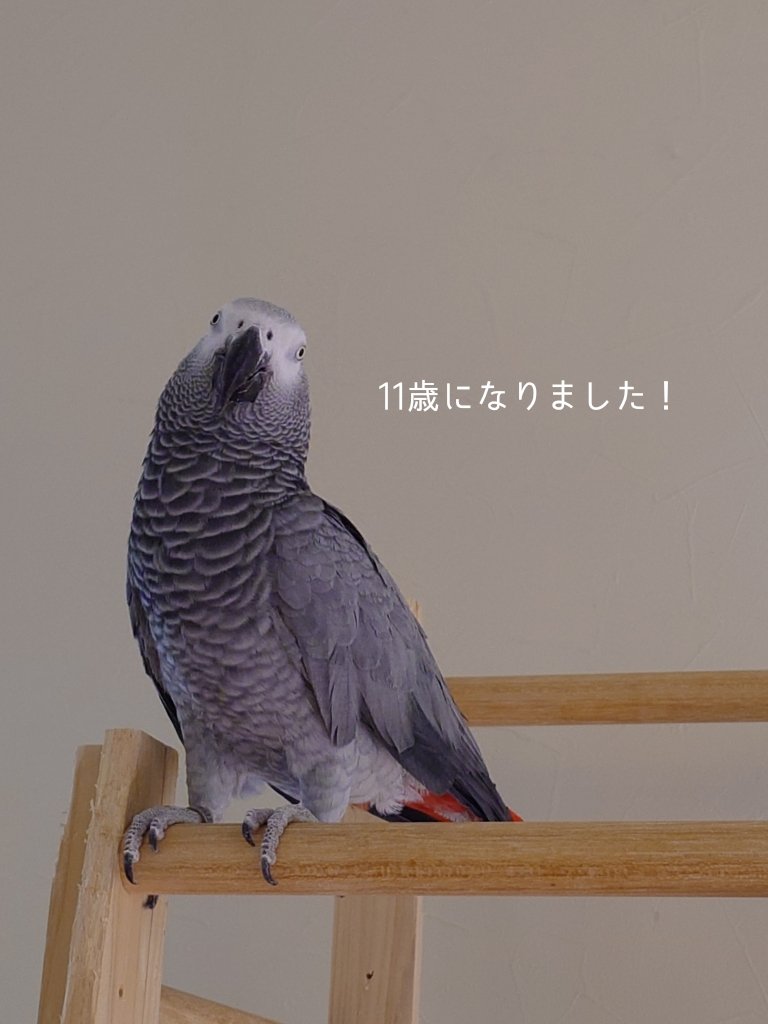 Gvdpt6DakAAOS6u.jpg?format=jpg