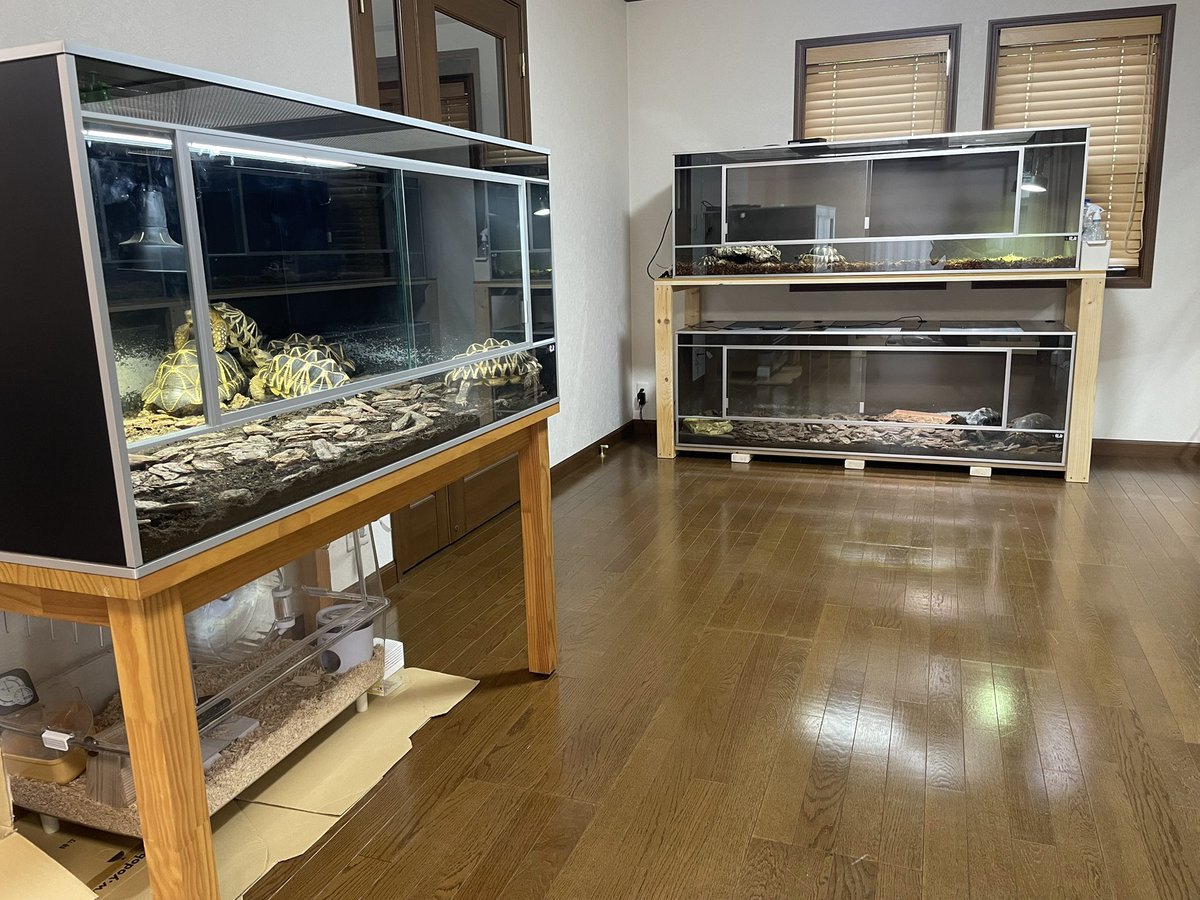 先日 4回目のお引渡しをさせて頂きましたお客様より 龍匠ケージ勢揃い