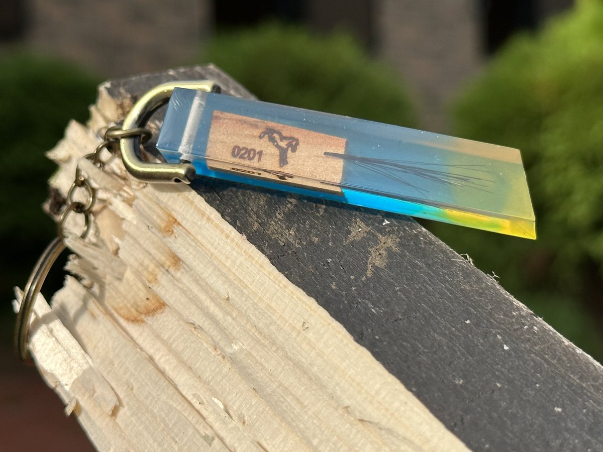 本日も多くの方のご来店、ありがとうございました！ 明日のギム様牧柵