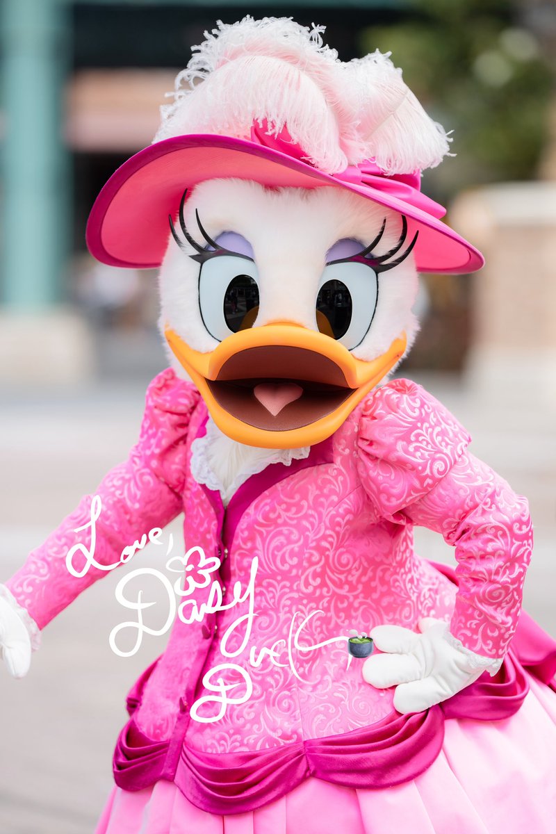 レアサイン頂いたありがとうデイジー😭😭😭