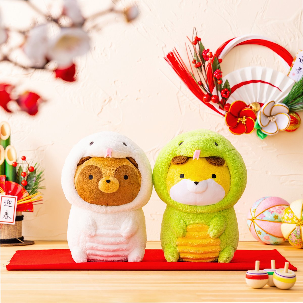 ˏˋ ℕ𝔼𝕎 𝕀𝕋𝔼𝕄 ˎˊ˗ ╭━━━━━━━━━━╮ #タヌキとキツネ