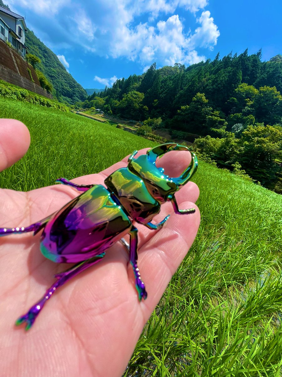 あんみつ (@69dokukinoko69) / Posts / X