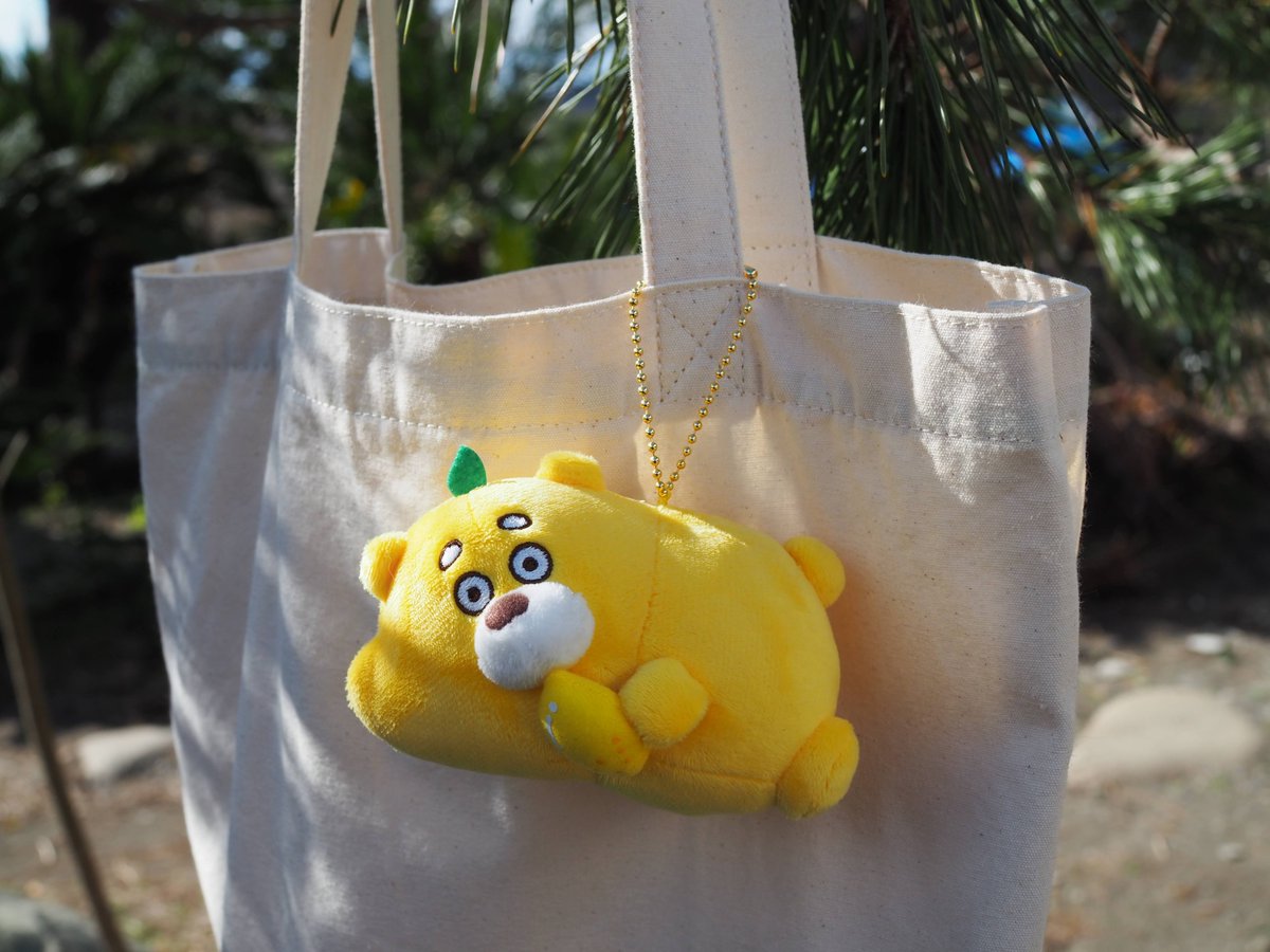 ひろくまからのお知らせ② ＼ たくさんのリクエストをいただいていた