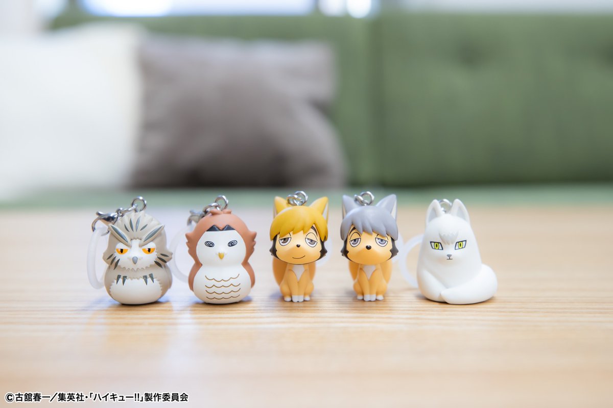 にゃん汰 0825 にゃん太⭐️ (@Nyanta08_0525) / Posts / X