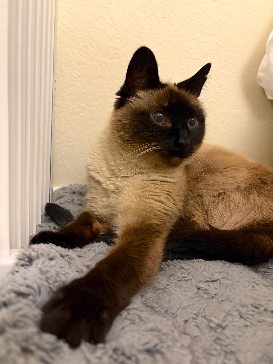 オイルヒーターとおとんは同じくらい好き？