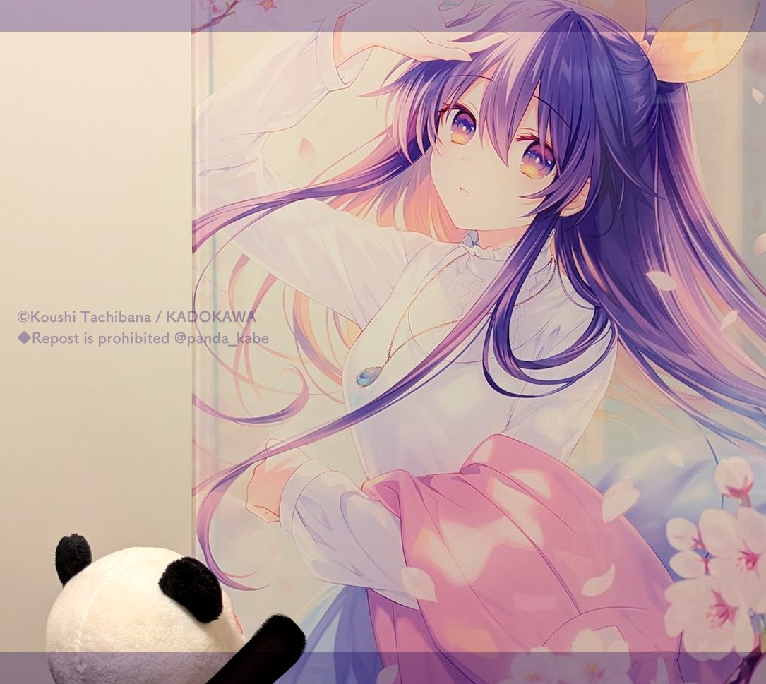 母校の展示に持って行くイラストの色校チェック中！真冬に桜の絵があっ