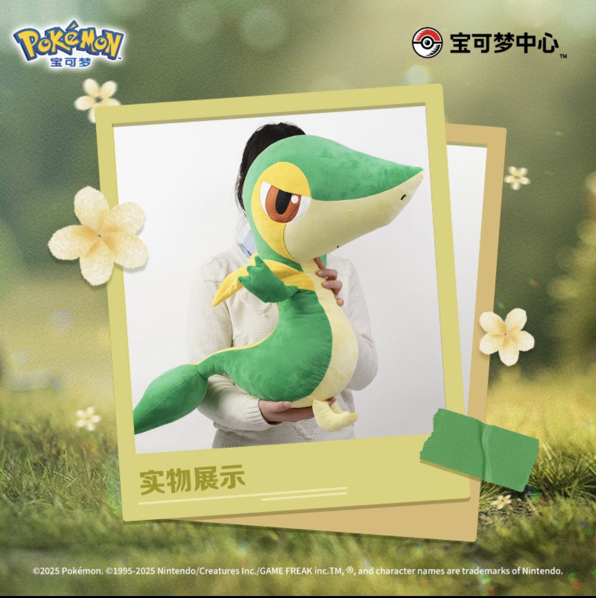 ［ポケモン］等身大ツタージャ2010年版