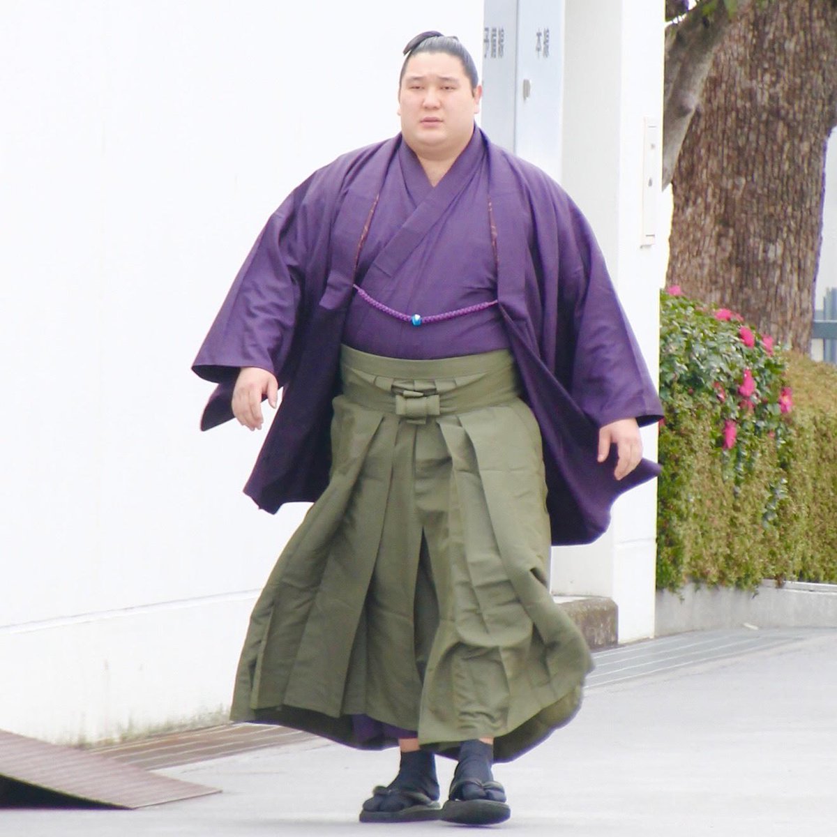 ケガの具合がよくなく 再度の休場となってしまいまいした。 しっかり