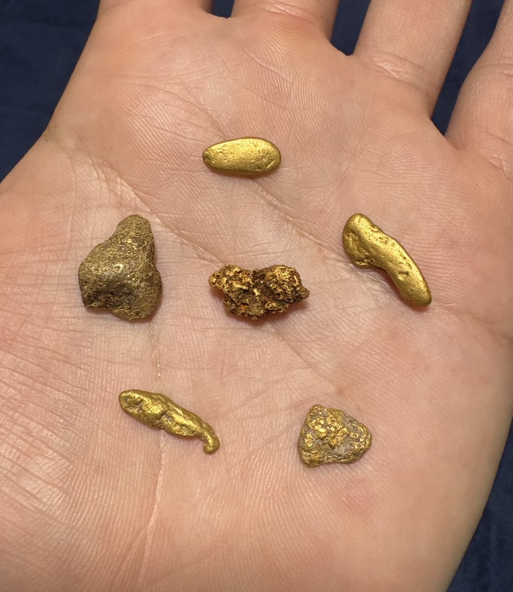 ✨採取した国産ナゲット✨ 1粒1g以上の砂金塊を一般的にナゲットと呼び