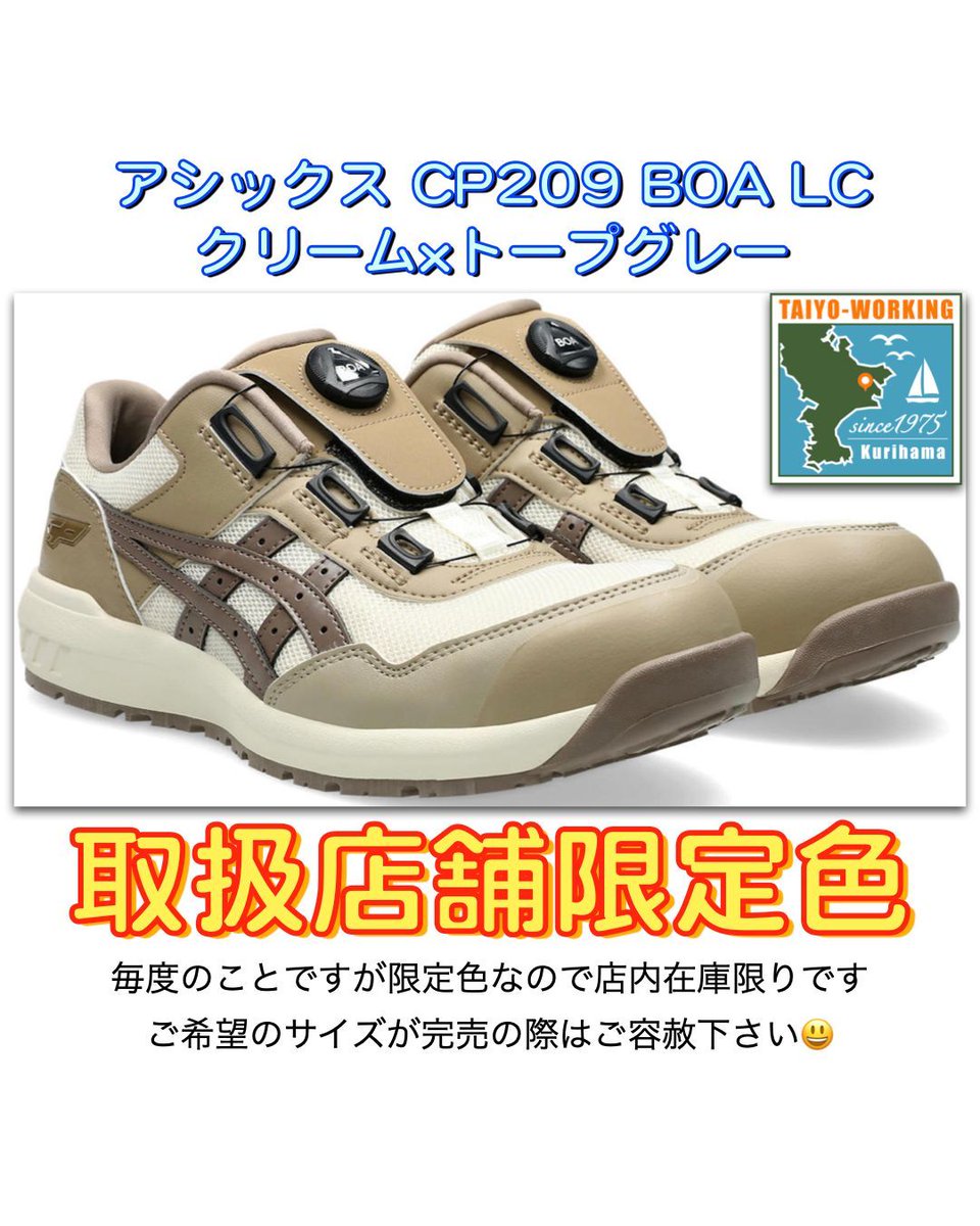 安全靴情報]今日はアシックス209の取扱店舗限定色クリームをご紹介