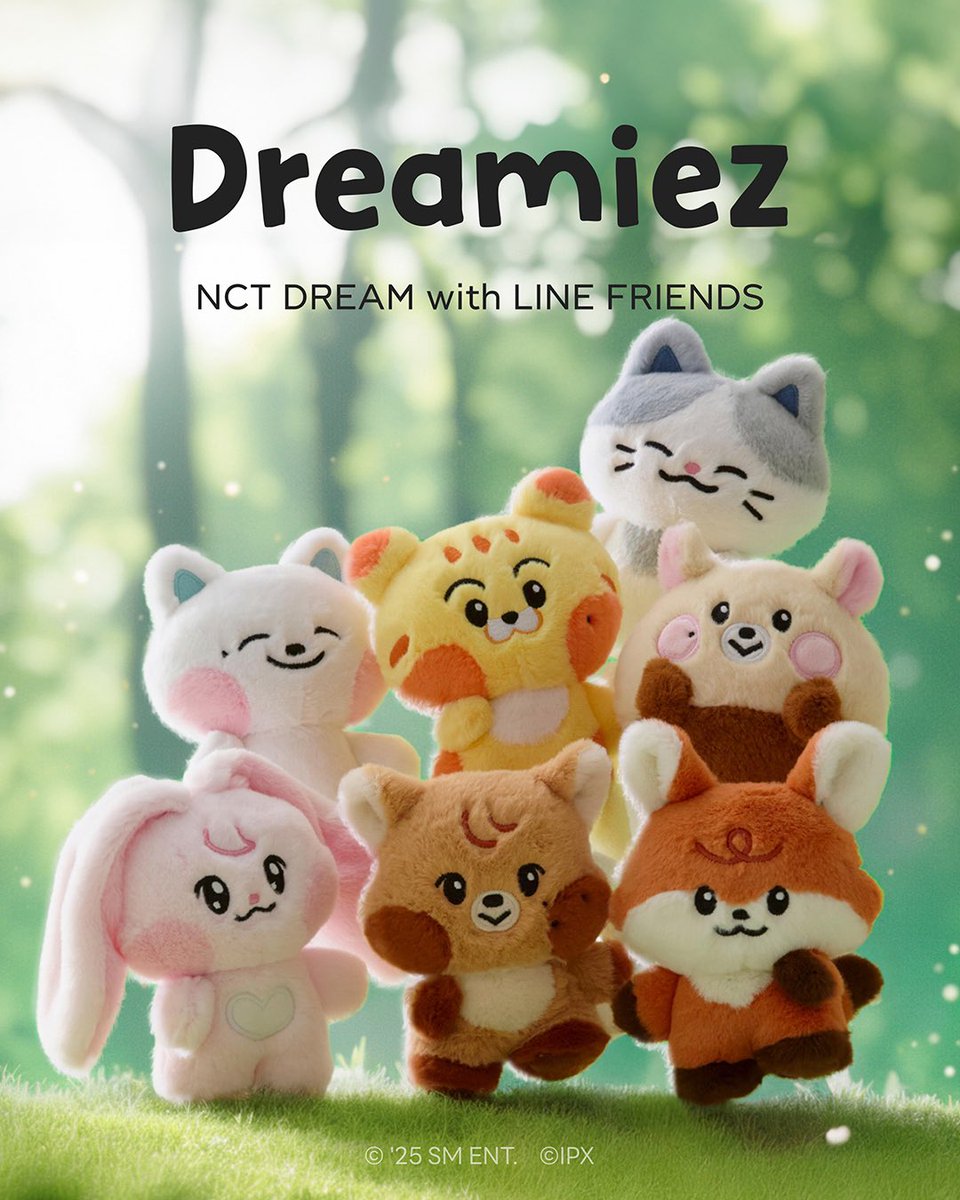 Dreamiez PLUSH💚 NCT DREAM with LINE FRIENDS ドリムちゃんの