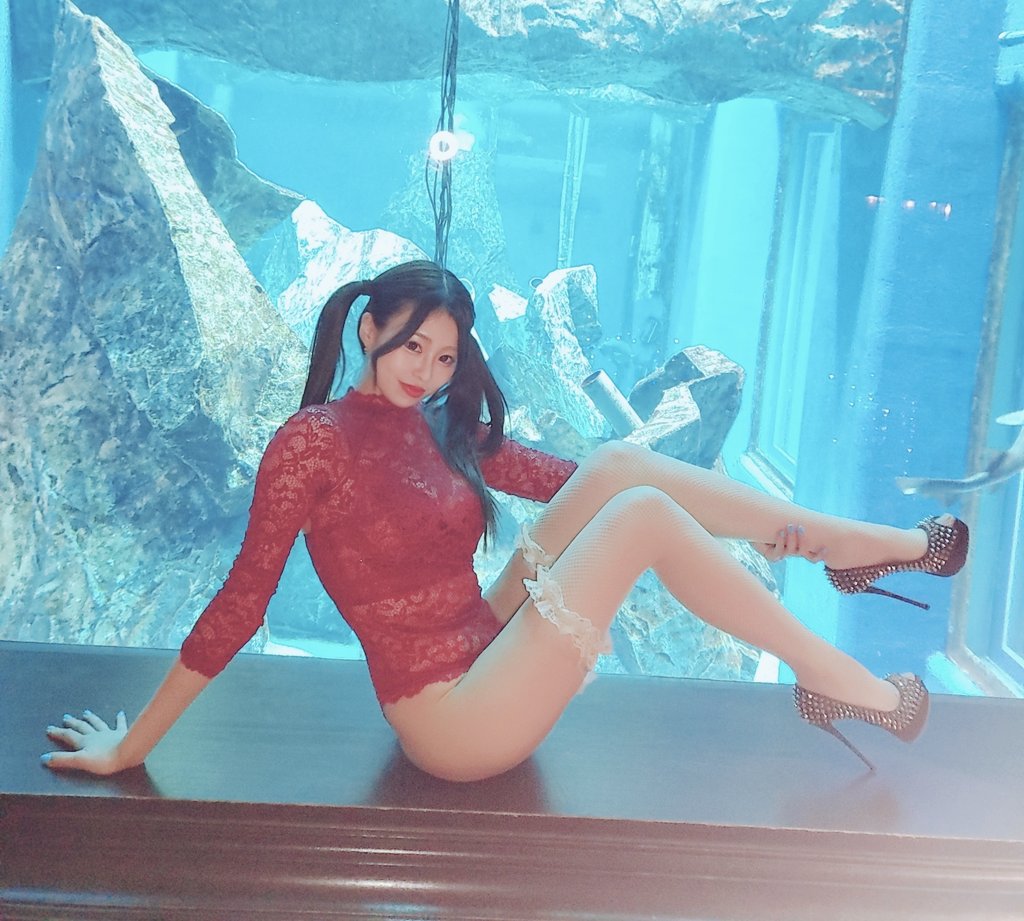 なみにゃん🐈‍⬛❤️‍🔥 (@Naminyan0706) / Posts and Replies / X