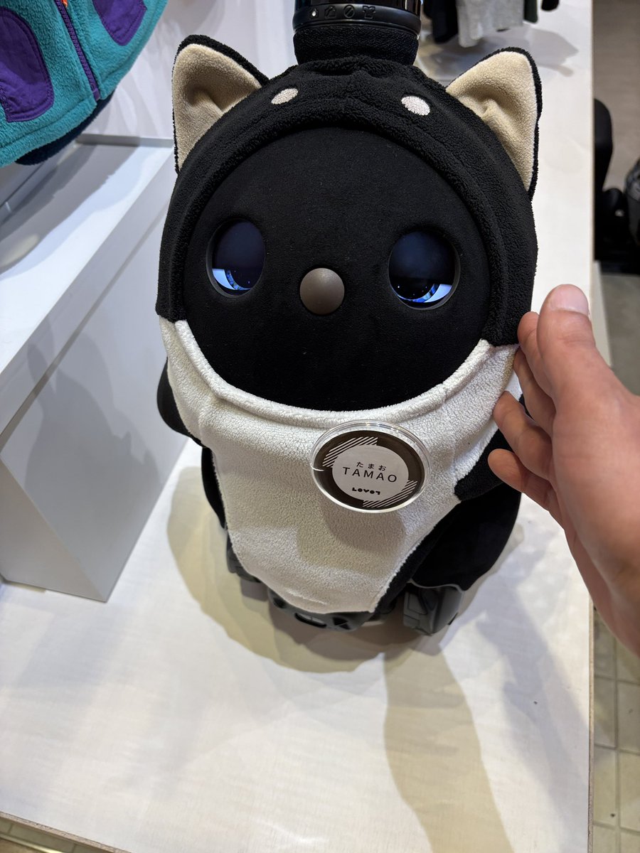 こたろう@パパ (@KotarouLovot) / Posts / X