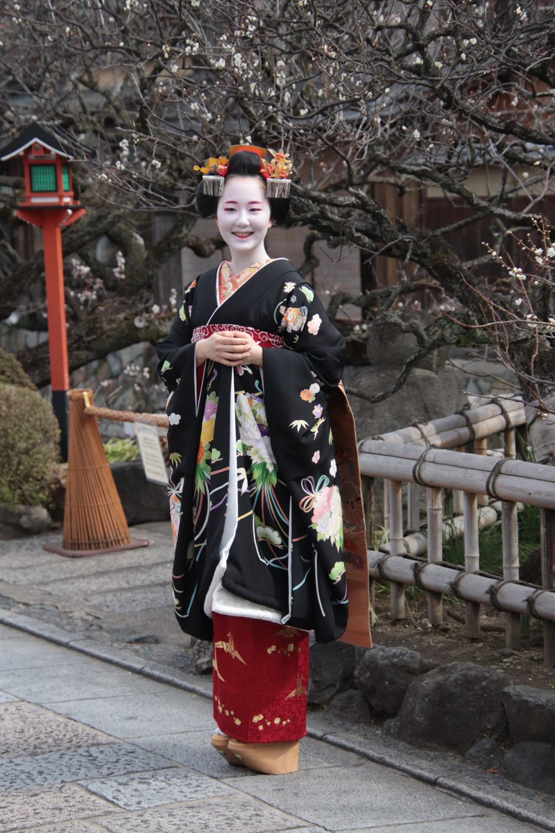 Geiko&Maikonews (@GeikoMaiko) / Posts / X