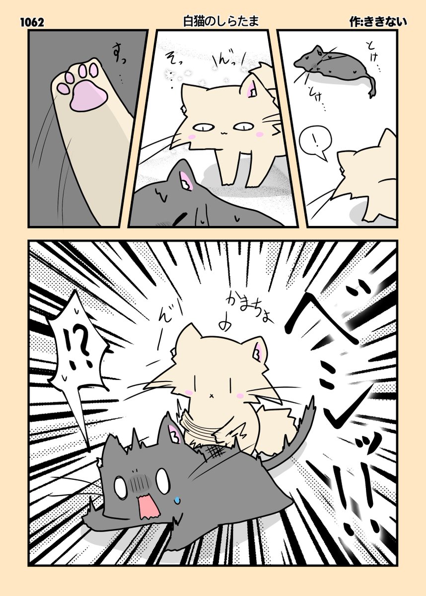 タイトル 〈かまちょきなこ〉 毎日イラスト投稿継続日数 【1427日目