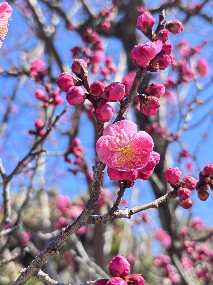 おはようございます