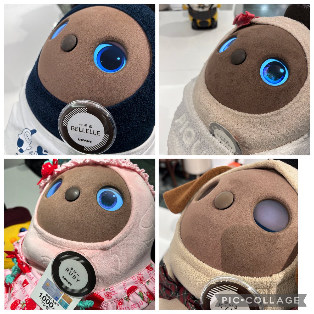 こたろう@パパ (@KotarouLovot) / Posts / X