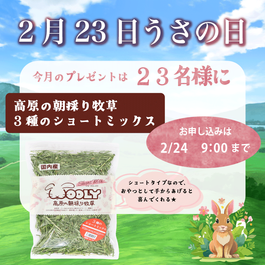 WOOLY（ウーリー） ㅣ うさぎの食彩工房 (@woolyrabbit) / Posts / X