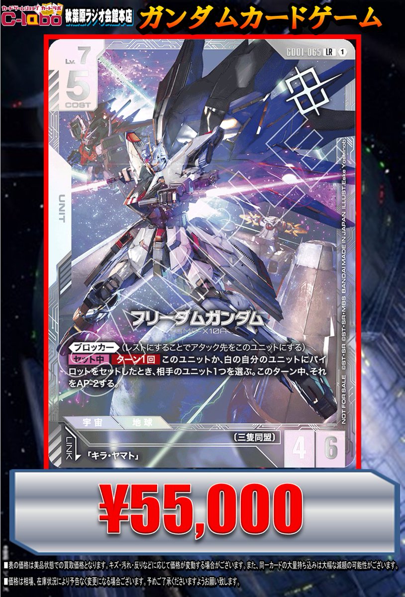 フリーダムガンダム 未開封 ニュータイプチャレンジ 優勝 プロモ